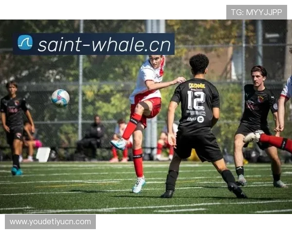 乐鱼在线地址稳定可靠，确保玩家随时随地畅享精彩体育赛事直播