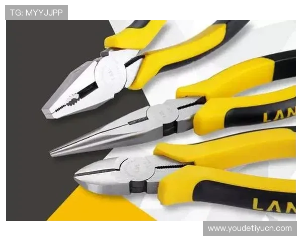 体育龙8游戏攻略：提升竞技水平的实用技巧与策略全方位解析