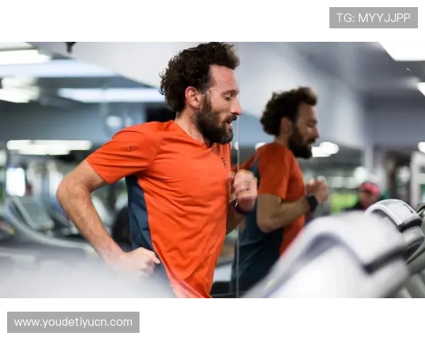 如何通过CMP体育官方官网获取详细的赛事数据与分析报告